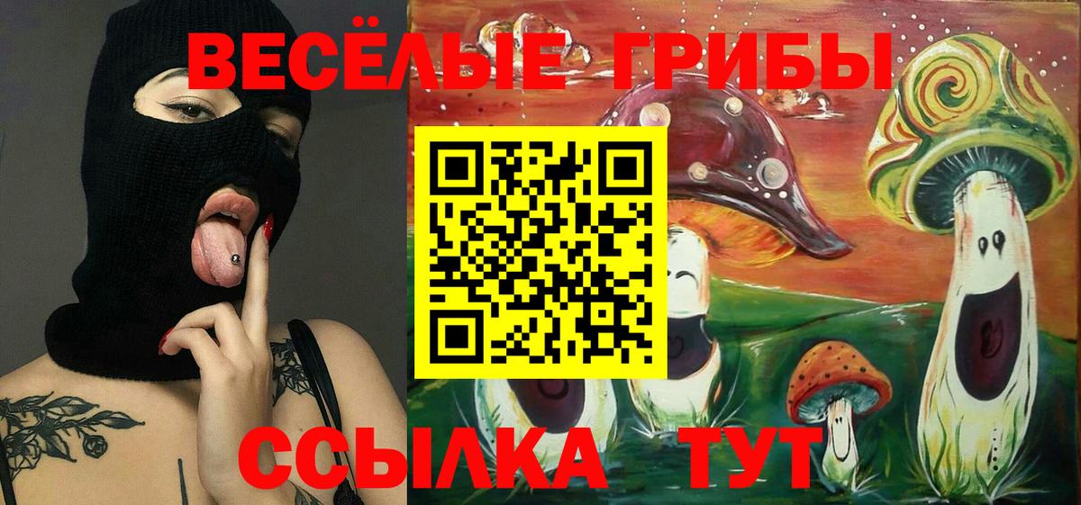 Киров  Псилоцибиновые грибы ЛСД  Вход с VPN 