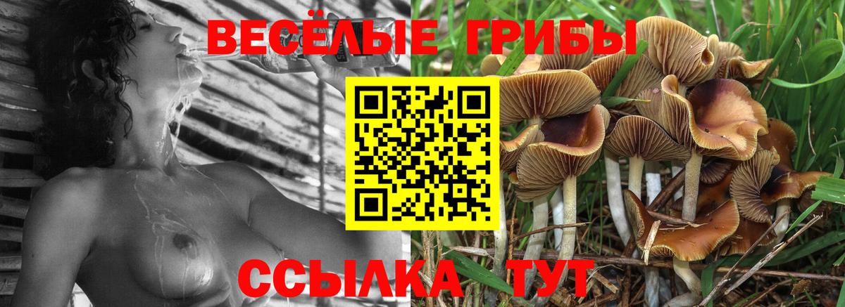 Галлюциногенные грибы мицелий Киров